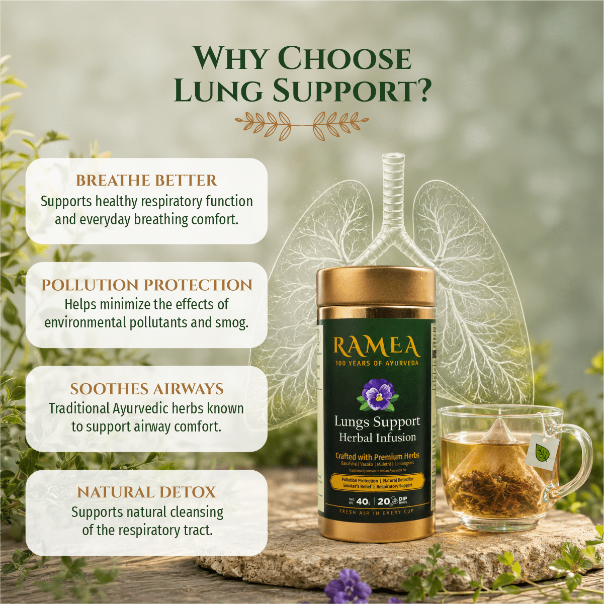 Lungs Support Herbal Infusion - Image 3