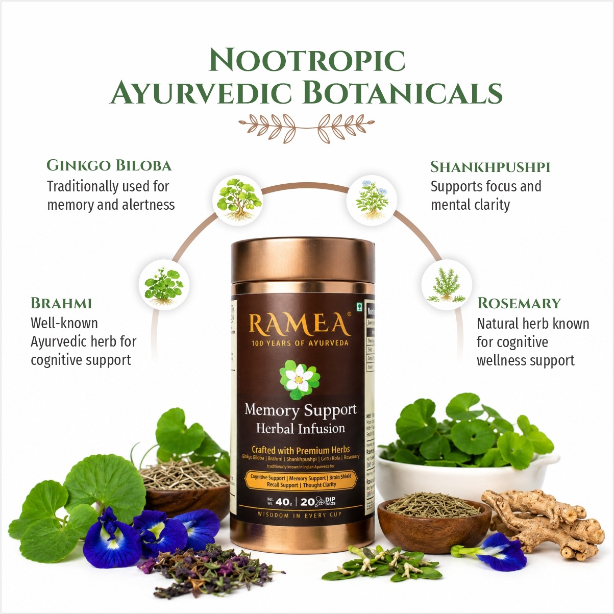 Memory Support Herbal Infusion - Image 2