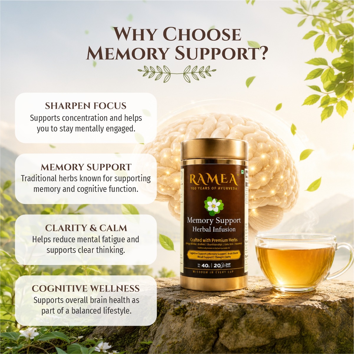 Memory Support Herbal Infusion - Image 3